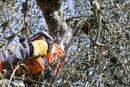 Motosega da potatura OleoMac GST 250 - Image