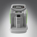 Caricabatteria Ego Rapido CH 5500E