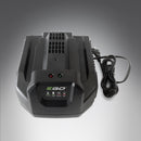 Caricabatteria Ego Standard CH2100E